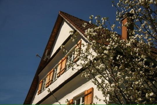 Ferienwohnung Haus Oyben Bad Hindelang Exterior foto
